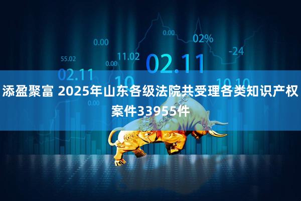 添盈聚富 2025年山东各级法院共受理各类知识产权案件33955件