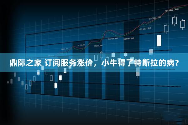 鼎际之家 订阅服务涨价，小牛得了特斯拉的病？