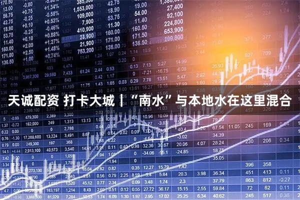 天诚配资 打卡大城｜“南水”与本地水在这里混合